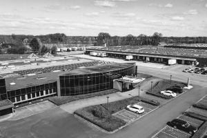 Röhr-Bush in Rietberg