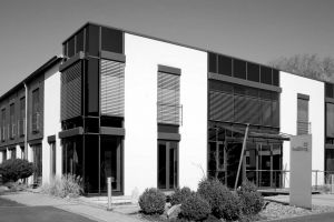 Bullfrog in Michelau