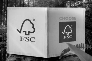 FSC Polen