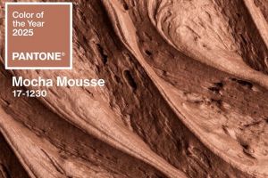 Farbe des Jahres 2025