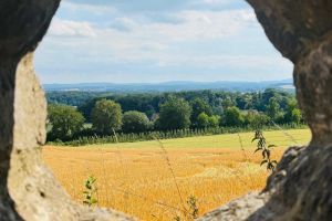 Schnappschuss von der 2. INSIDE Safari im Juni 2025