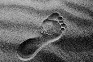 "Produkte ‚klimaneutral‘ zu labeln, ist immer stärker zum Trend geworden.“